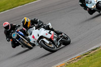 PJ-Motorsport-2019;anglesey-no-limits-trackday;anglesey-photographs;anglesey-trackday-photographs;enduro-digital-images;event-digital-images;eventdigitalimages;no-limits-trackdays;peter-wileman-photography;racing-digital-images;trac-mon;trackday-digital-images;trackday-photos;ty-croes